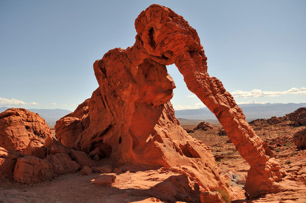 Elephant Rock, Valley of Fire, Nevada