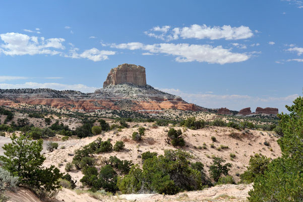 Kaibito Area, Arizona