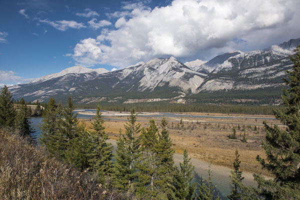 Athabaska River im Jasper Valley 