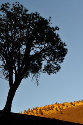 Sunset Crater Vulcano, Arizona