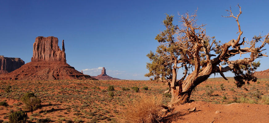 Monument Valley, Navajo Tribal Park