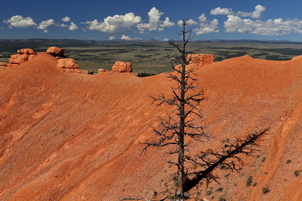 Red Canyon, Utah