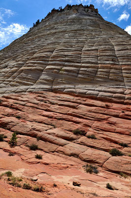 Zion National Park