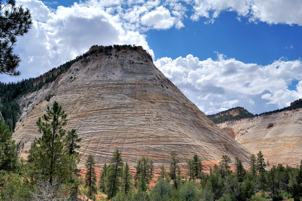 Checkerboard Mesa, Zion NP