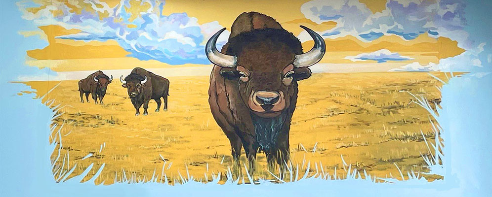 Trader Joe's Oklahoma City Western Commercial Mural