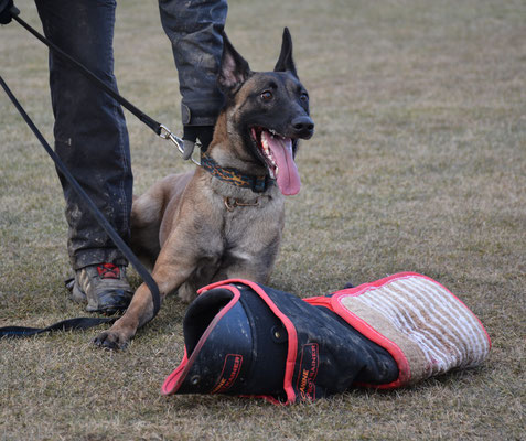 Training 2014