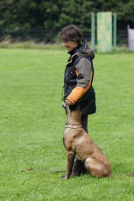 Rottweiler von der Steinteichmühle