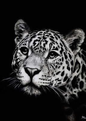 Eyes on the prize - 50 x 70 cm - Graphite and carbon pencils on paper - 2018 - SOLD - Ref pic by Tazy Brown