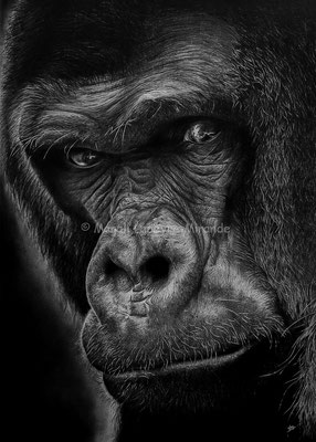 Wisdom - 70 x 50 cm - Graphite and carbon pencils on paper - 2019 - SOLD - Ref pic by William Warby