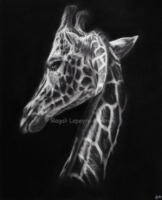 The Lookout - 50 x 40 cm - Graphite and carbon pencils on paper - 2022 - Ref pic by Dustin Humes - AVAILABLE