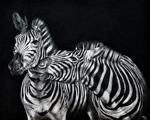 Stripes - 40 x 50 cm - Charcoal on paper - 2017