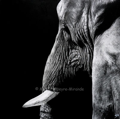 Imperial - 30 x 30 cm - Graphite and carbon pencils on paper - Ref pic by Tom Driggers - 2020