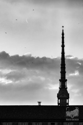 14 - Un po' di Mole e un po' di luna