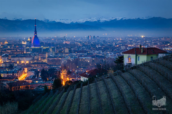 11 - I vigneti della collina torinese