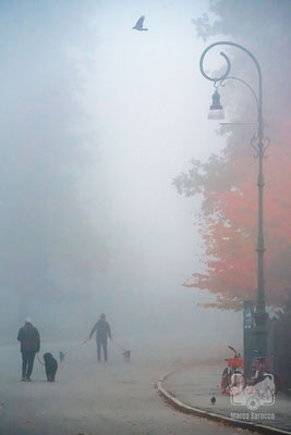 21 - La nebbia del primo mattino
