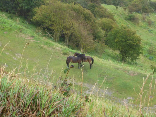 On ze White Cliffs of Dover (©lebateaublog2011-Mu.L)