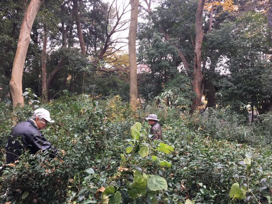 雨が降っていたのでぬれながらの作業です