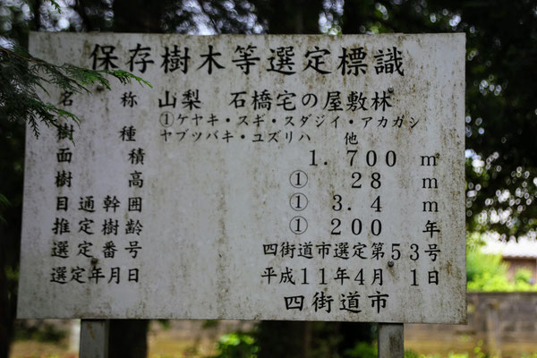 石橋家庭園