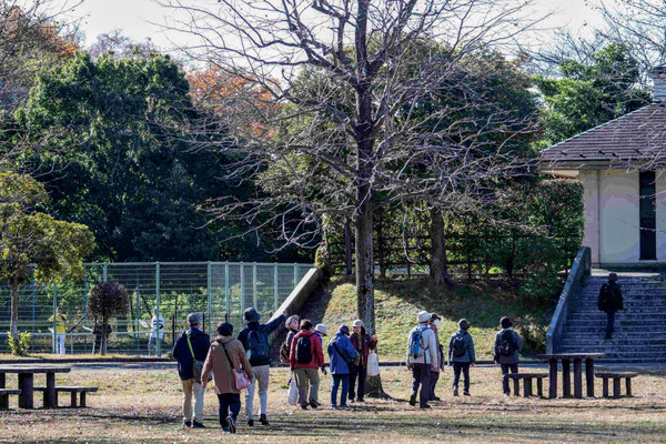わらび近隣公園【栗山】