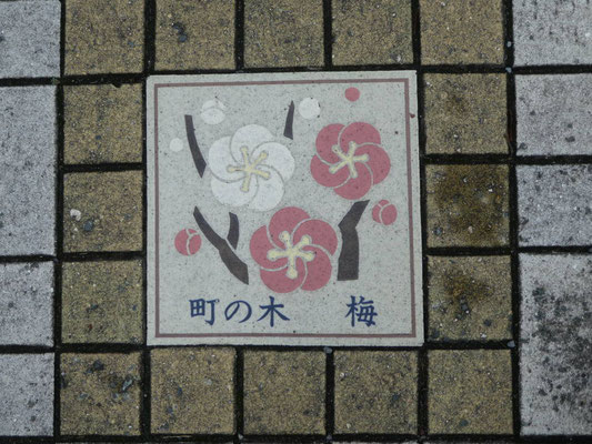   ②酒々井の町の木は「梅」　マンホールにも梅の絵が