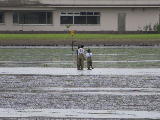 生息調査をしていた