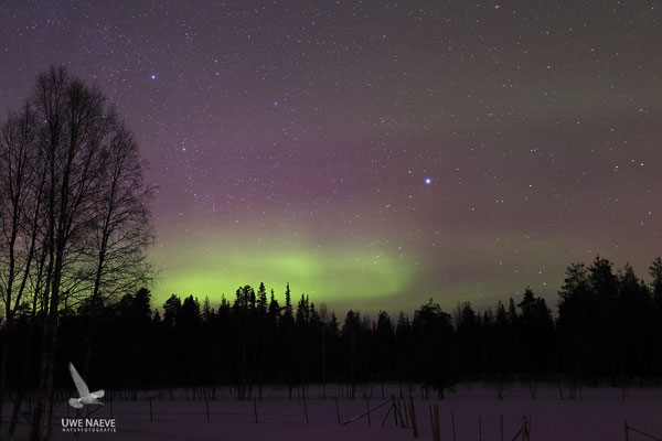 Polarlichter Finnisch Lappland 1946