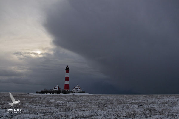 Leuchturm Westerhever Deutschland,Lighthouse Westerhever Germany 0013