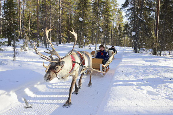 Rentierschlittenfahrt Finnisch Lappland 0683