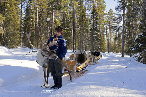 Rentierschlittenfahrt Finnisch Lappland 0660