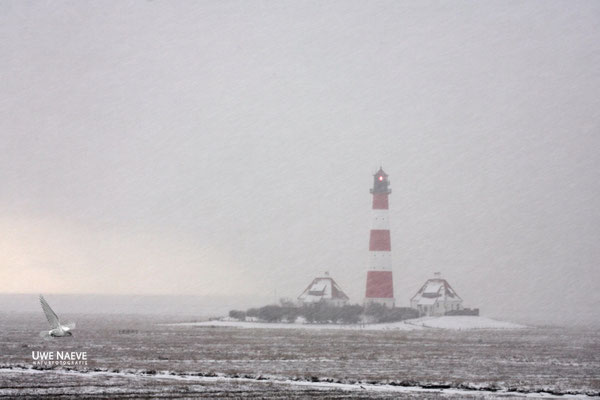 Leuchturm Westerhever Deutschland,Lighthouse Westerhever Germany 0022