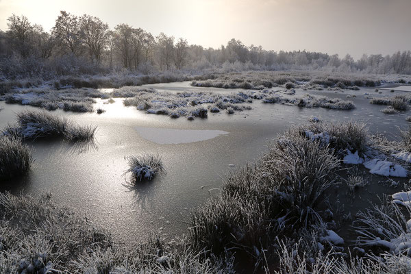 Hartshoper Moor 0067