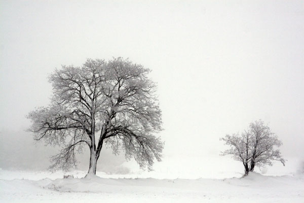 Winter 0009