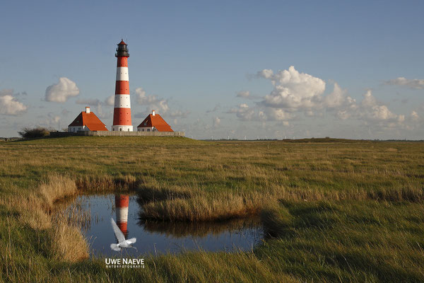 Leuchturm Westerhever Deutschland,Lighthouse Westerhever Germany 0032