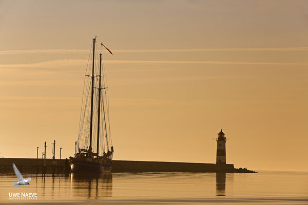 Leuchtturm Schleimuende Ostsee Germany 3850