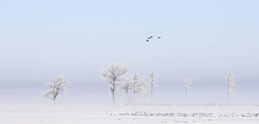 Winterlandschaft 9345