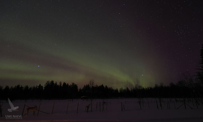 Polarlichter Finnisch Lappland 1972