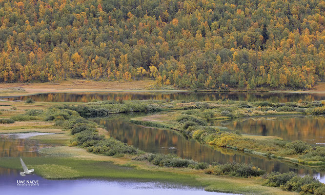 Herbstlandschaft 6479