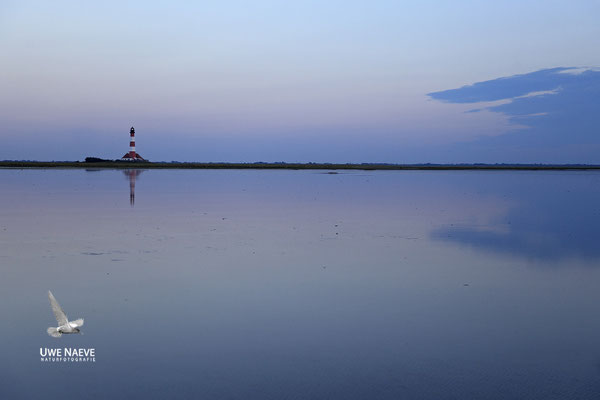Leuchturm Westerhever Deutschland,Lighthouse Westerhever Germany 0062