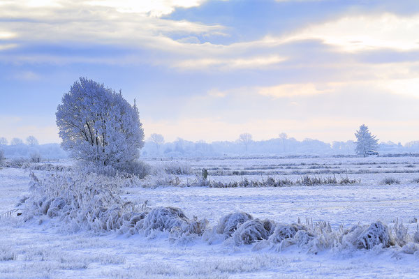 Winterlandschaft 2059