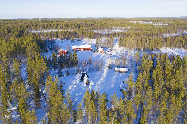 Rentierfarm  bei Mourujärvi Finnisch Lappland 0026