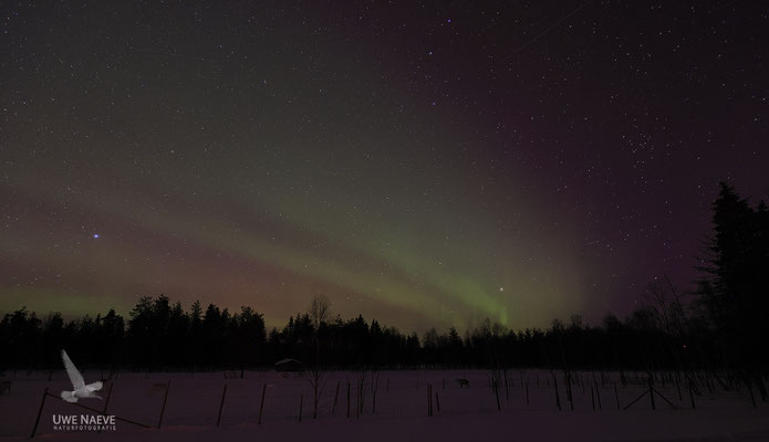 Polarlichter Finnisch Lappland 1962