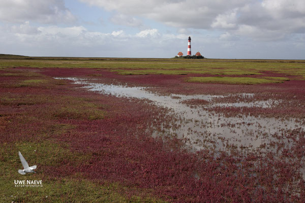 Leuchturm Westerhever Deutschland,Lighthouse Westerhever Germany 0027
