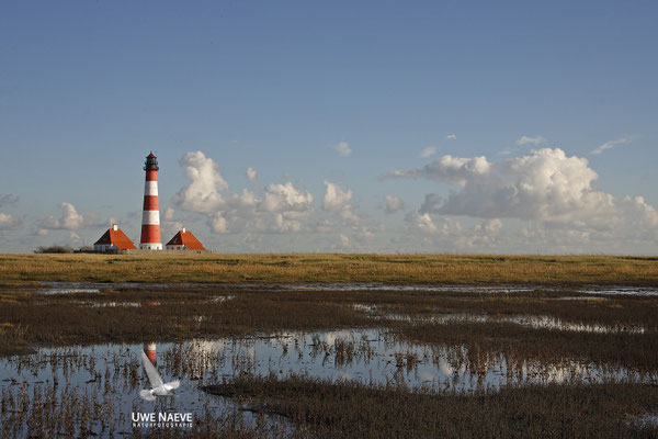 Leuchturm Westerhever Deutschland,Lighthouse Westerhever Germany 0031