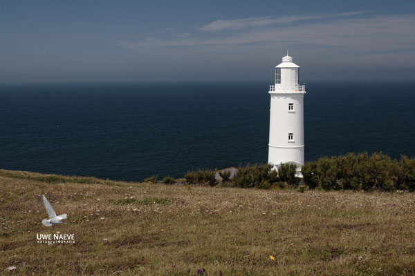 Leuchtturm Trevose Head Cornwall England 01574