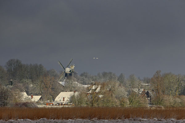 Bergenhusen 5665