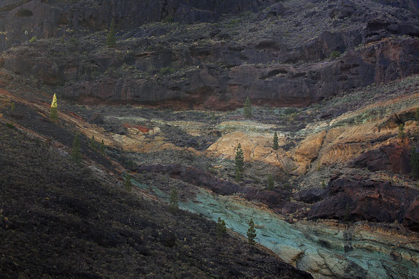 Gebirge auf Gran Canaria 9540