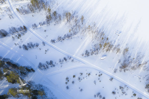 Bäume im Schnee 0092