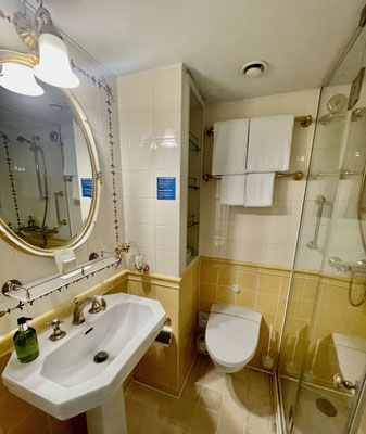 Überraschend überzeugend ist das Badezimmer in meiner Kabine auf der MS Thurgau Chopin