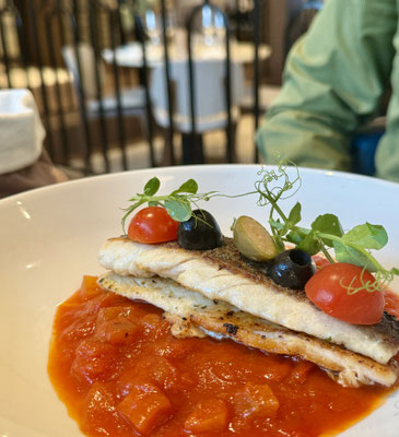 Mittelmeer-Wolfsbarschfilet auf der VIVA TWO