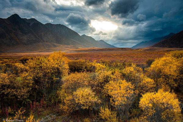Tombstone Yukon
